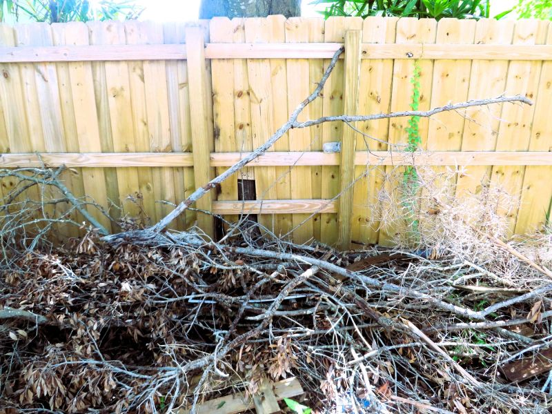 Brush Clearing Service