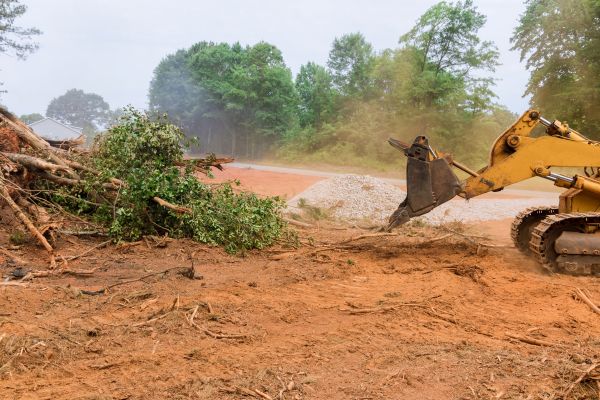Ground Clearing in Erie