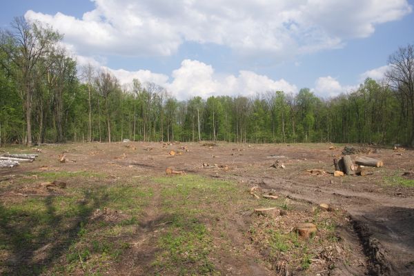 Cost of Pasture Clearing in Erie