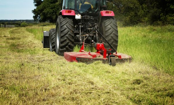 Brush Clearing Service in Erie