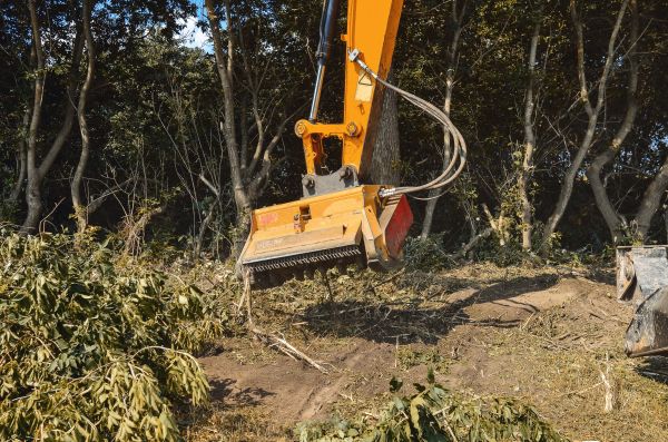 Brush Removal Service in Erie