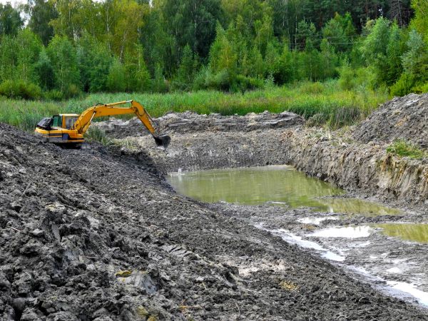 Cost of Lake Lot Clearing in Erie