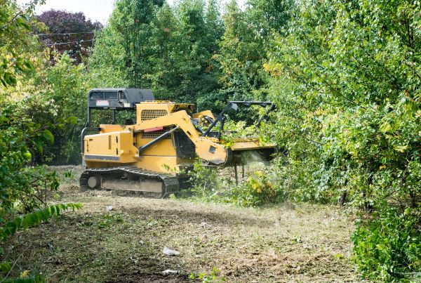 Cost of Pathway Clearing in Erie