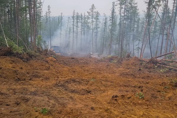 Cost of Hill Clearing in Erie