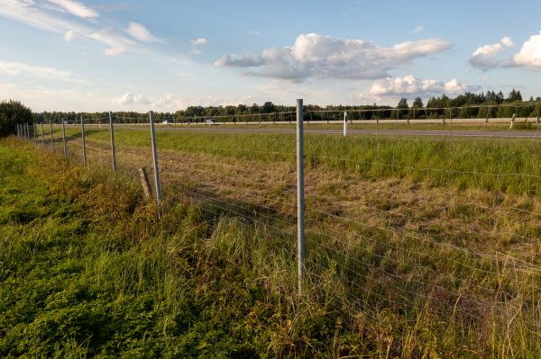 Cost of Property Line Clearing in Erie