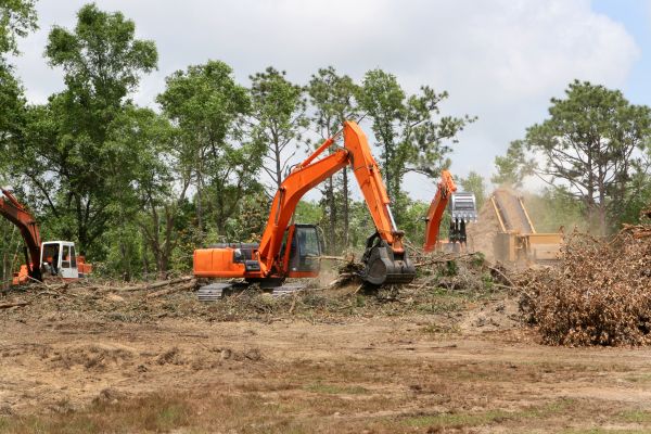 Cost of Commercial Lot Clearing in Erie
