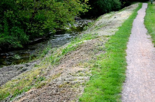 Cost of Trail Cutting in Erie